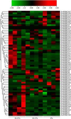 Identification and Expression Analysis of WRKY Gene Family in Response to Abiotic Stress in Dendrobium catenatum